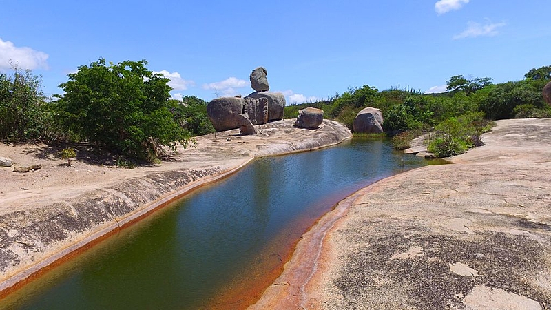 Seridó abriga grande biodiversidade, por isso, organizações defendem ações de conservação e preservação – Foto: Getson Luís/ Seridó Geoparque