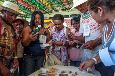 "Quando eu chego num encontro desse e vejo aqui ao redor dessas bancas, pra gente expulsar esses agrotóxicos, fico muito feliz" | Foto: Ana Lira