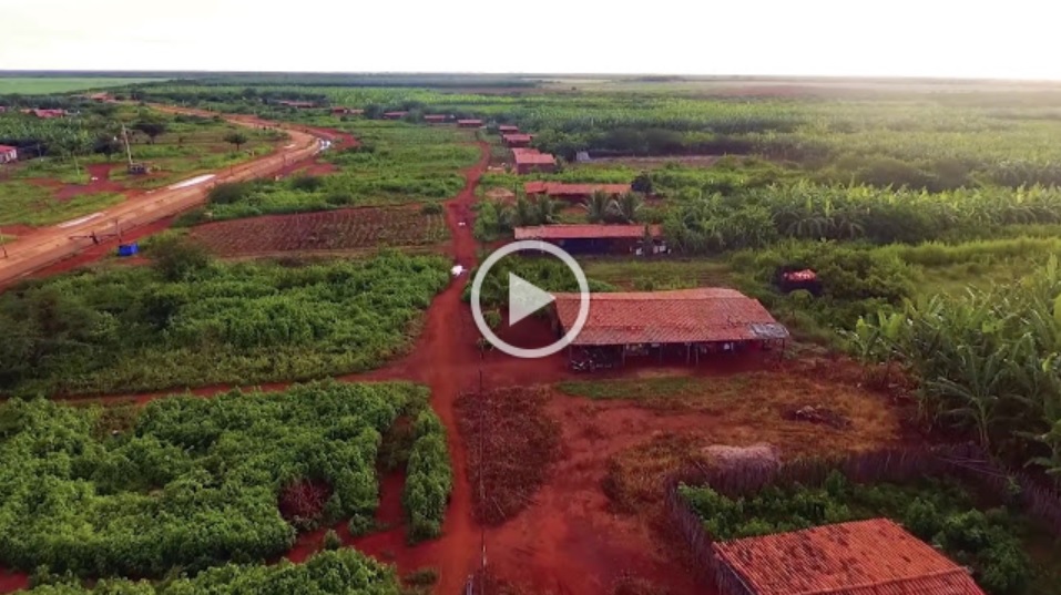 Afetada pelas mudanças climáticas e pela pandemia Covid-19, a situação do Semiárido exige atenção | Imagem do vídeo