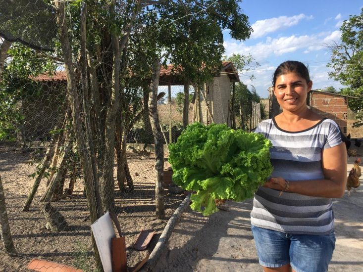 De consumidora de poucas verduras e hortaliças compradas na feira tradicional, Analice e família passaram a produzir e vender alimentos livres de veneno | Foto: Arquivo ASPTA