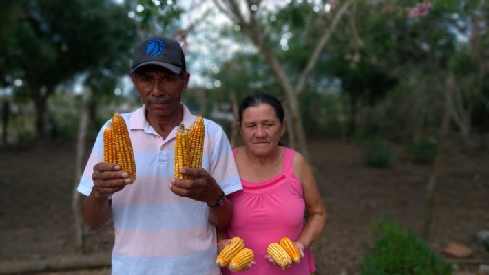 "A região do Polo da Borborema é uma zona de conservação da biodiversidade no Brasil", assegura pesquisa | Foto: Divulgação ASPTA