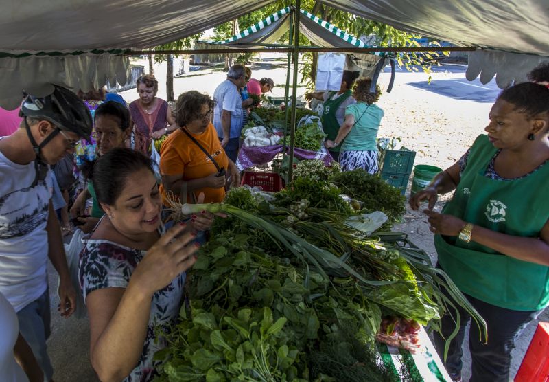Feira agroecológica do bairro de Setúbal, no Recife | Foto: Ana Lira
