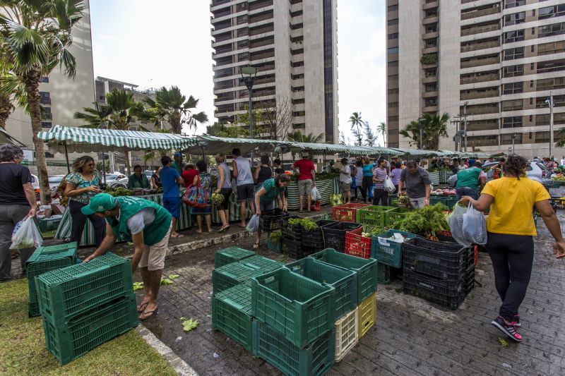 Foto: Ana Lira / Acervo Centro Sabiá